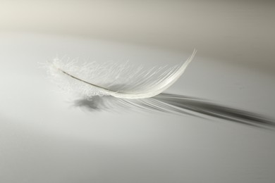 Photo of Fluffy white feather on light grey background