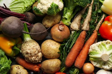 Photo of Different fresh vegetables as background, top view. Farmer harvesting