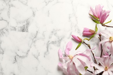 Photo of Magnolia tree branches with beautiful flowers on white marble table, flat lay. Space for text