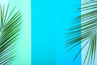 Fresh tropical date palm leaves on color background, top view