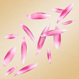 Image of Pink lotus flower petals falling on dark beige background