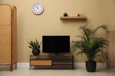 Photo of Modern TV on cabinet and green plants near beige wall in room. Interior design