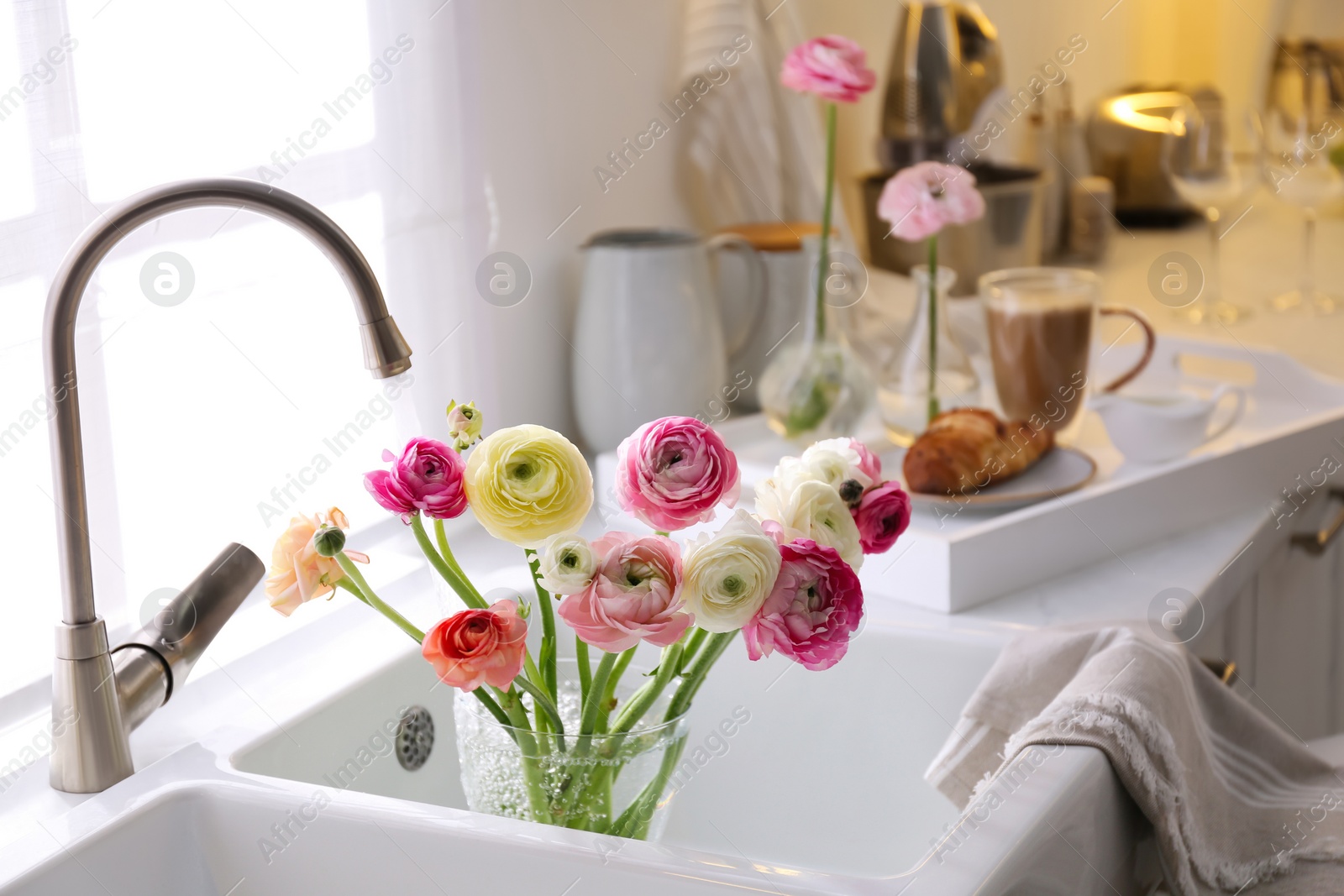 Photo of Beautiful fresh ranunculus flowers in kitchen sink