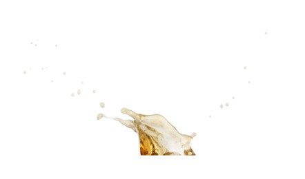 Image of Splash of tasty beer on white background