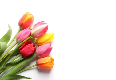 Photo of Beautiful spring tulip flowers on white background, top view