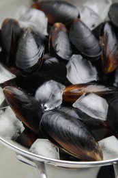 Photo of Colander with raw mussels and ice, closeup