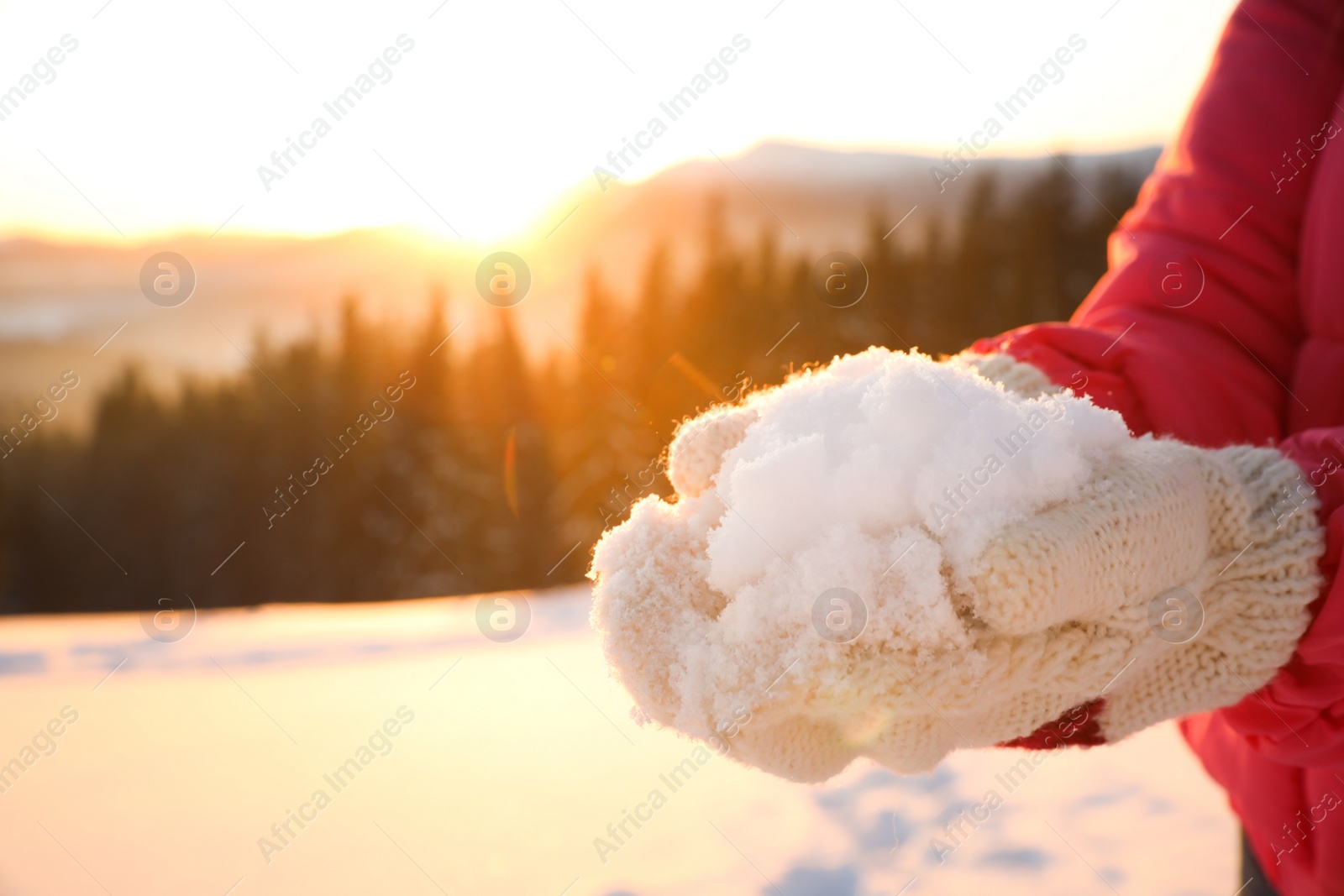 Photo of Woman holding pile of snow outdoors, closeup view with space for text. Winter vacation