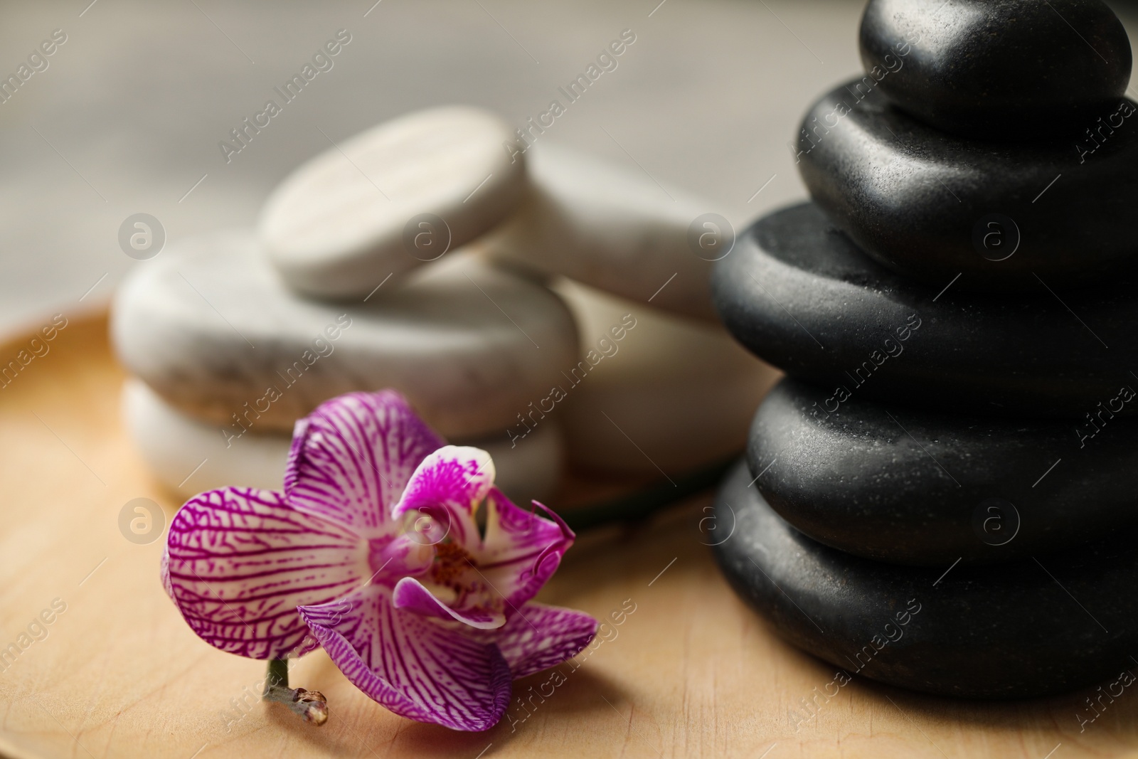 Photo of Spa stones and orchid flower on wooden plate, closeup