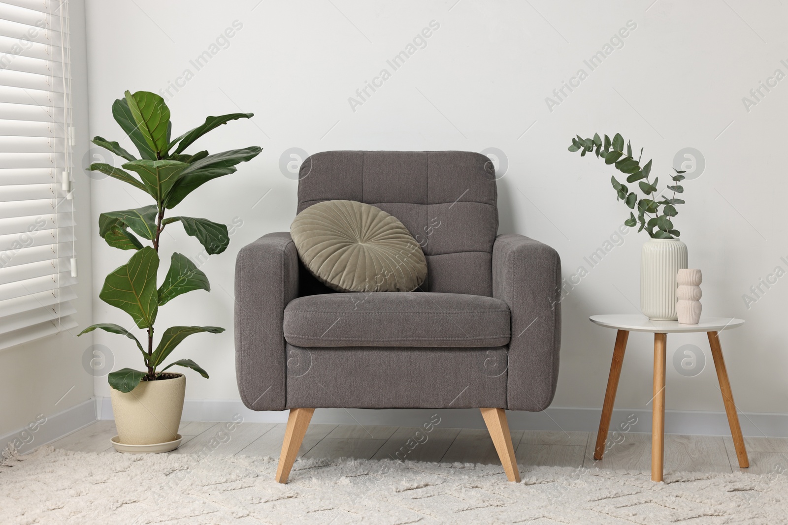 Photo of Comfortable armchair, pillow, side table and green houseplants indoors