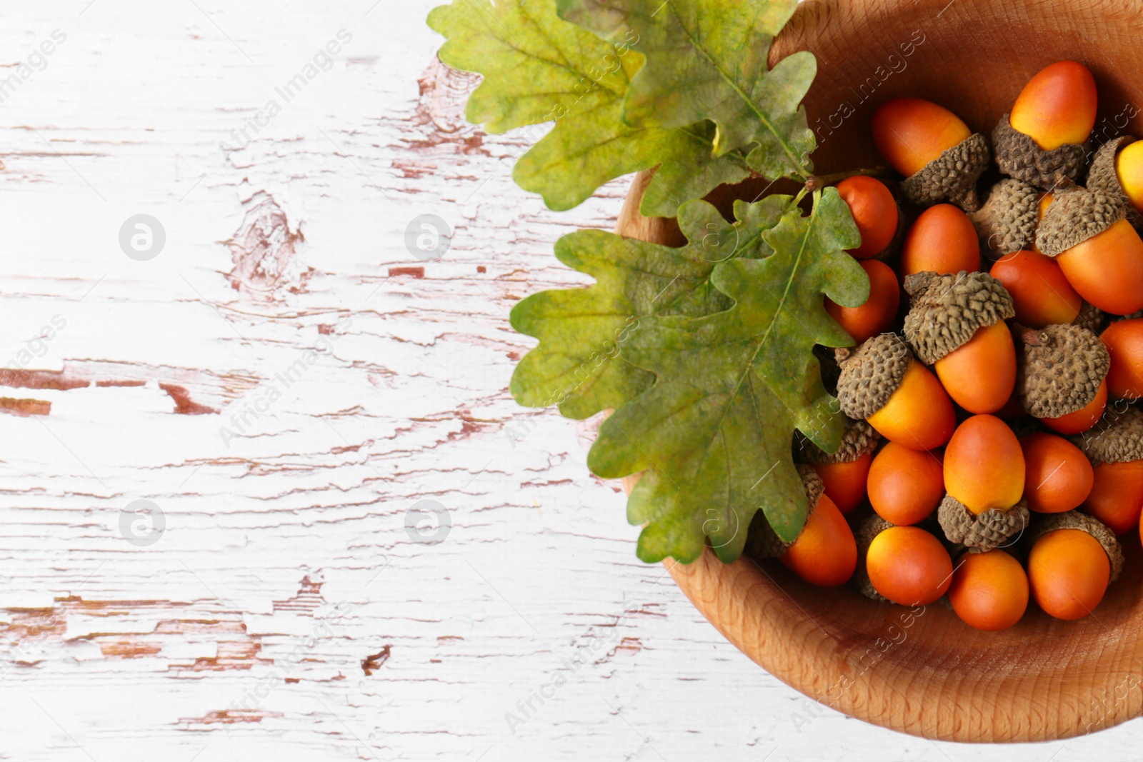 Photo of Bowl of acorns on white wooden table, top view. Space for text