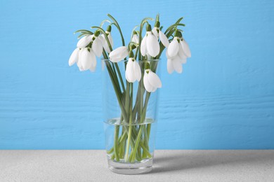 Beautiful snowdrops in vase on light grey table