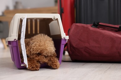 Photo of Travel with pet. Fluffy dog in carrier on floor indoors