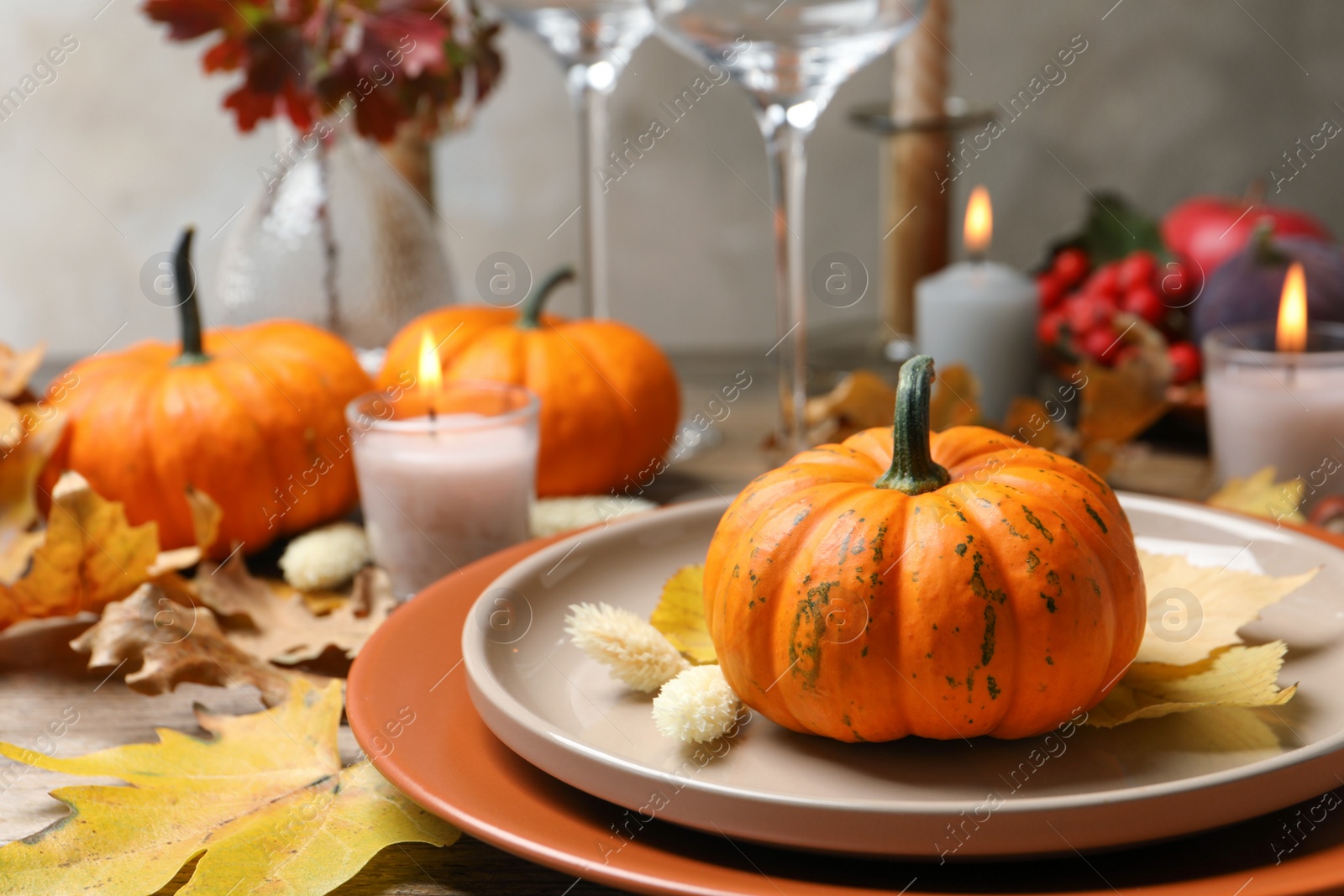 Photo of Beautiful autumn place setting and decor on table, closeup. Space for text