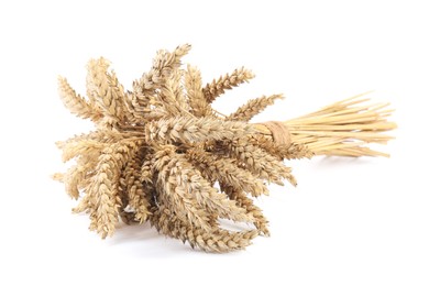 Photo of Bunch of dried wheat on white background