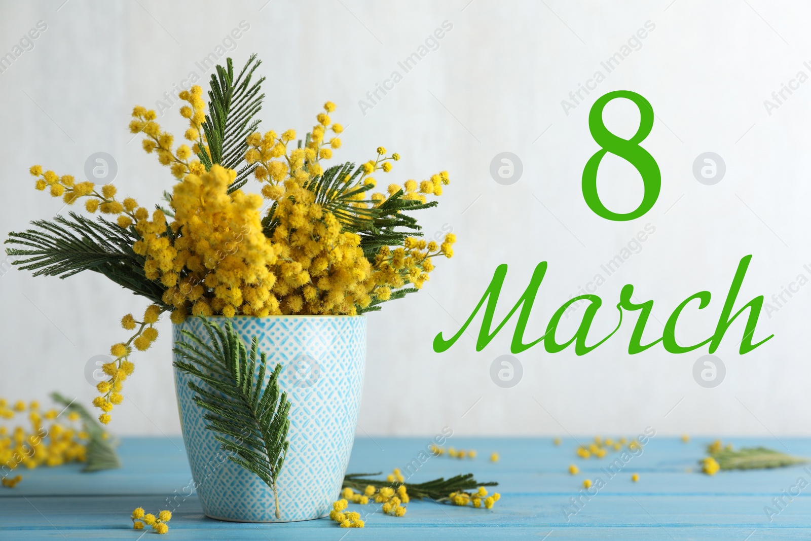 Image of 8 March. Bouquet of beautiful mimosa flowers on light blue wooden table 