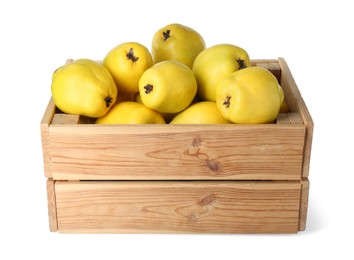 Wooden crate with delicious fresh ripe quinces isolated on white