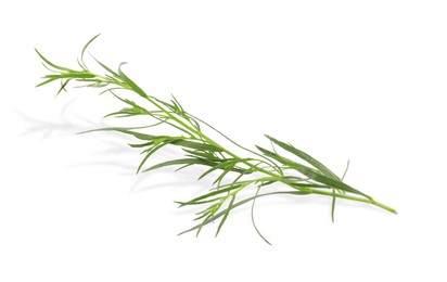 Photo of One sprig of fresh tarragon on white background