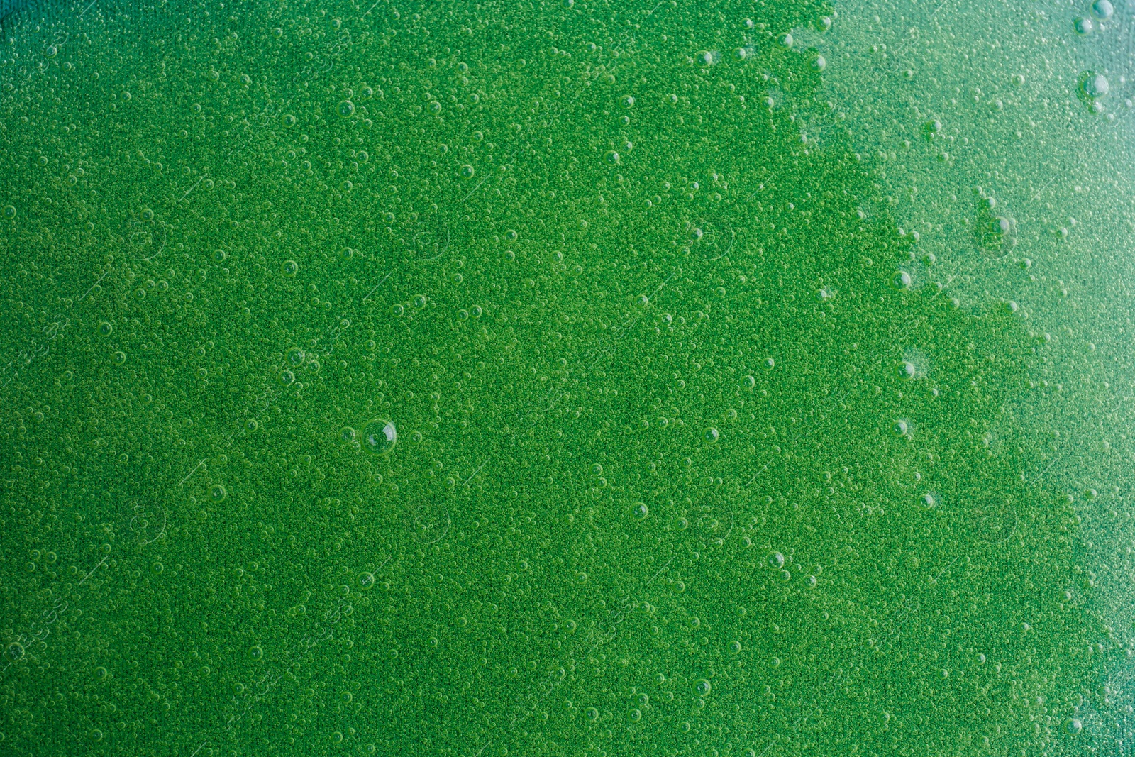 Photo of Texture of green shower gel as background, top view