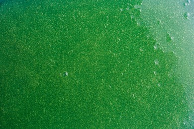 Photo of Texture of green shower gel as background, top view