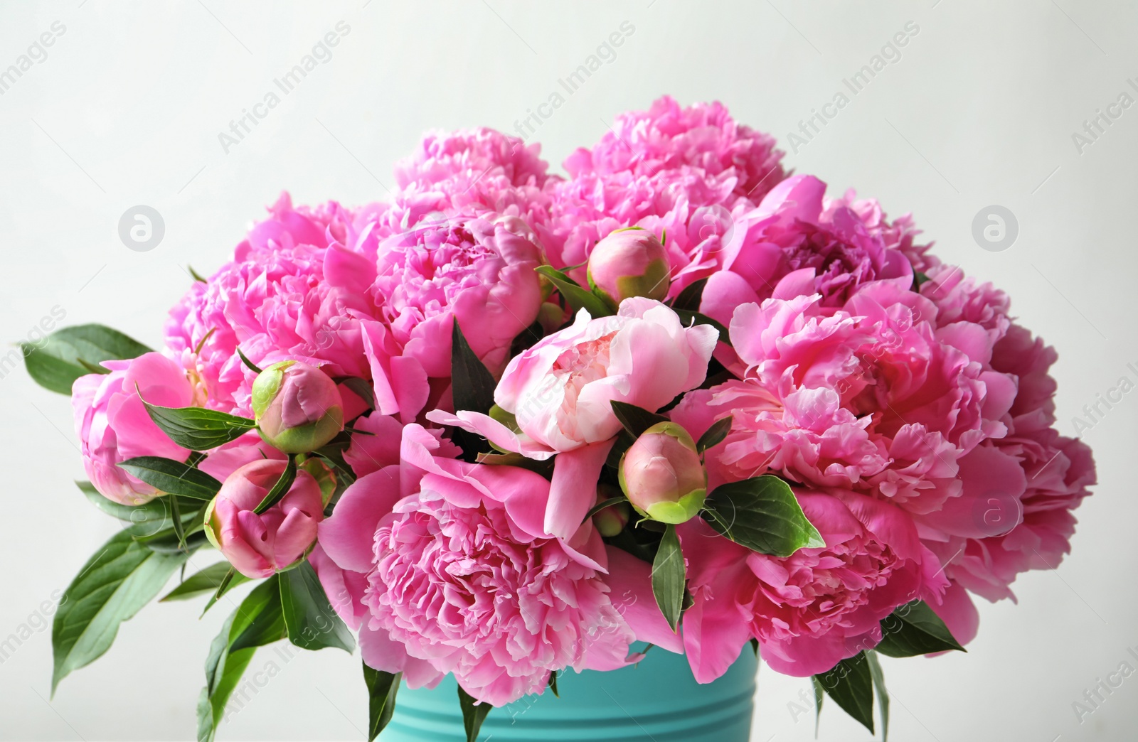 Photo of Bucket with beautiful peony flowers on light background