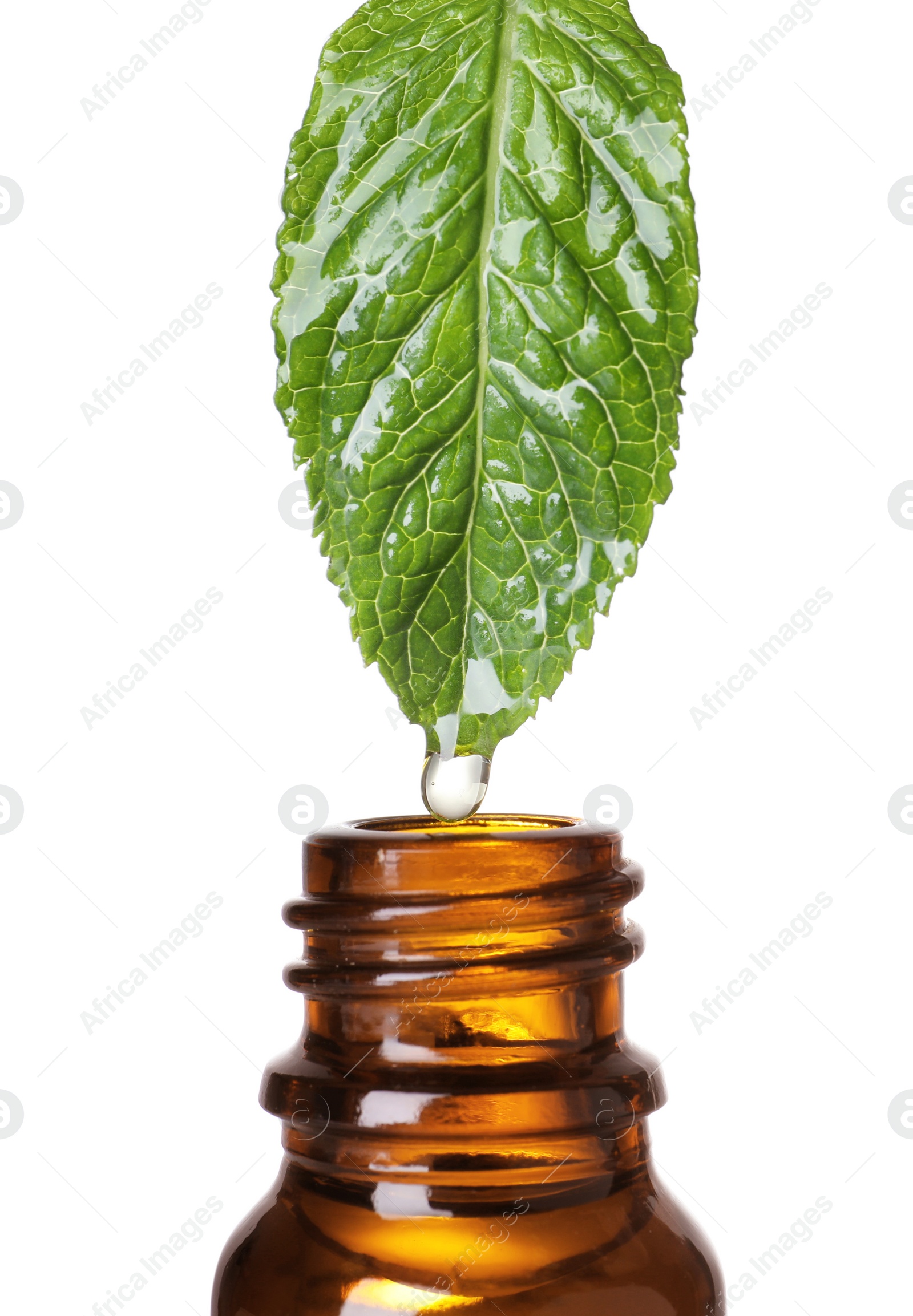 Photo of Mint leaf with drop of essential oil over bottle against white background