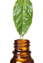 Photo of Mint leaf with drop of essential oil over bottle against white background