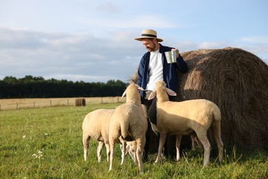 Photo of Smiling man with bucket feeding sheep near hay bale on animal farm. Space for text