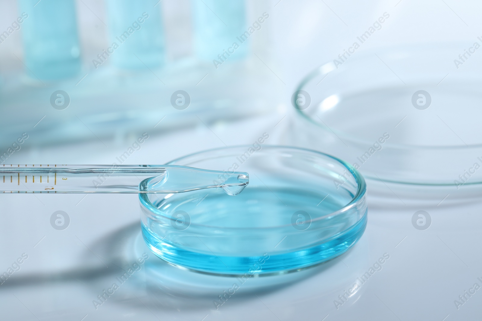 Photo of Dripping liquid from pipette into petri dish at white table, closeup