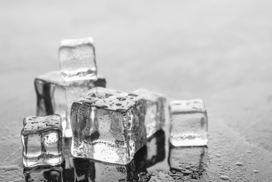 Photo of Crystal clear ice cubes with water drops on light grey table, closeup. Space for text