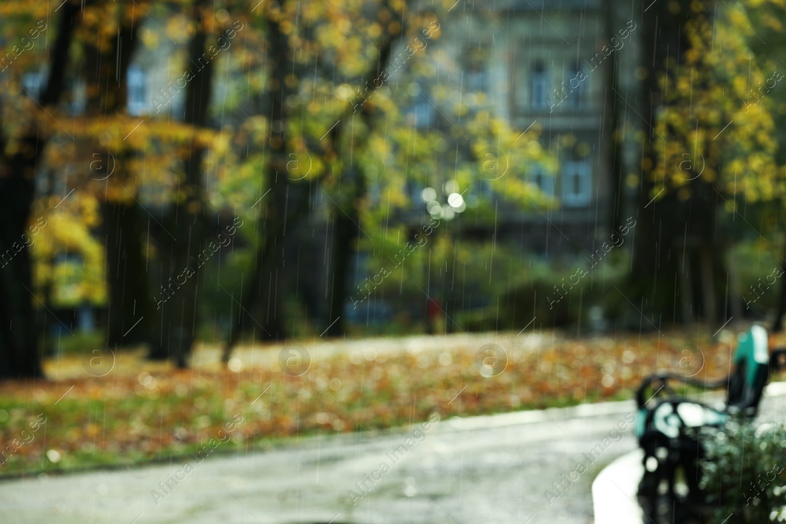 Photo of Blurred view of autumn park on rainy day
