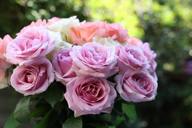 Photo of Beautiful bouquet of aromatic roses outdoors, closeup