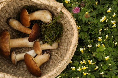 Photo of Wicker basket with fresh wild mushrooms outdoors, top view. Space for text