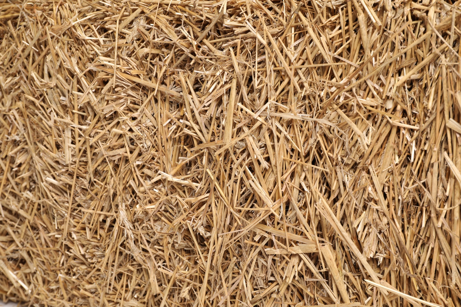 Photo of Pile of dried straw as background, top view