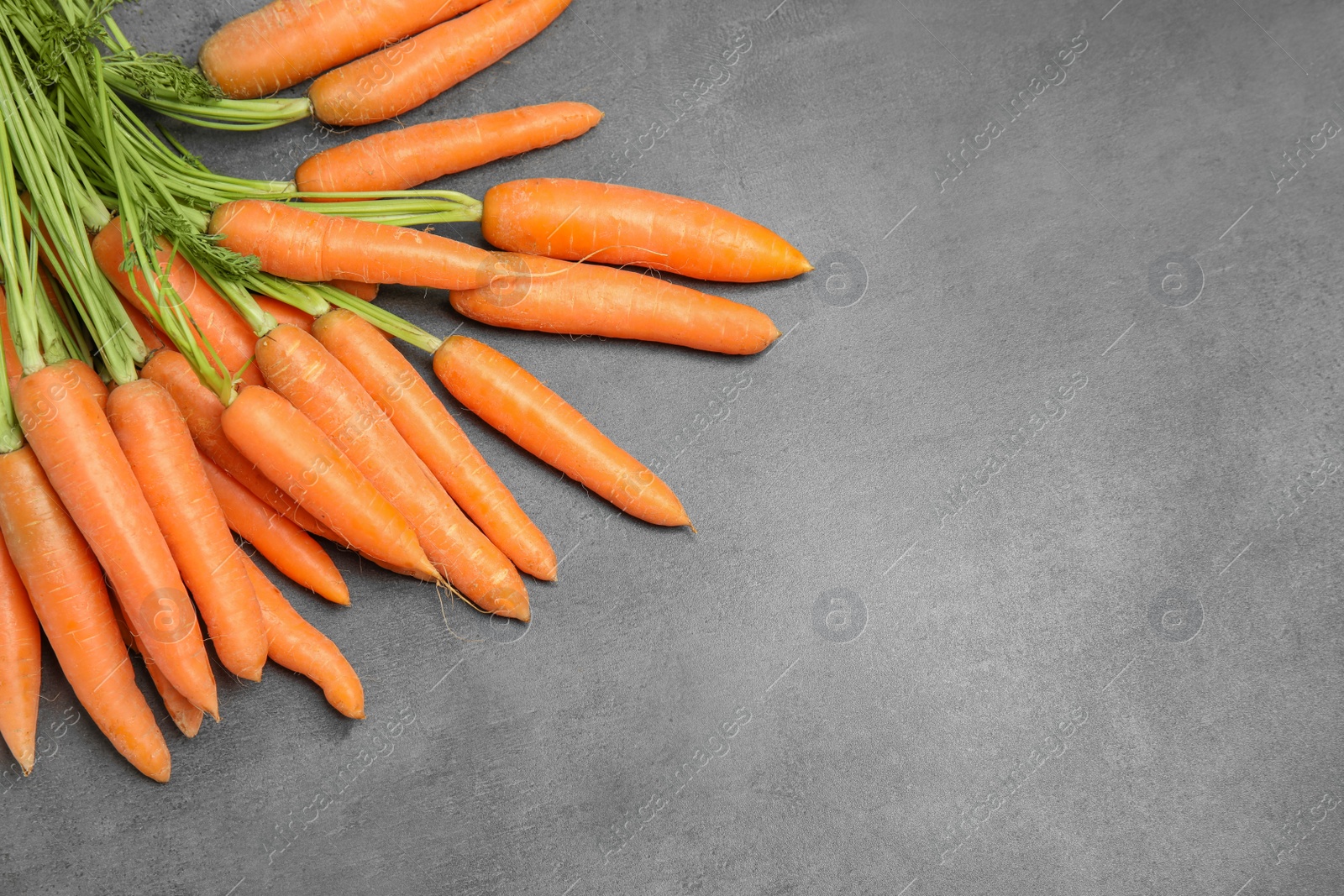 Photo of Ripe carrots on grey background, top view