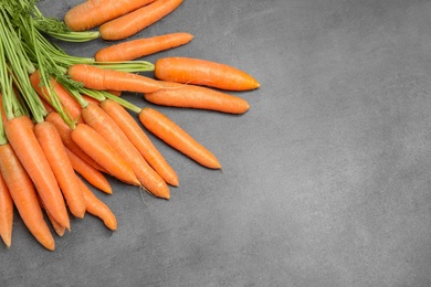 Ripe carrots on grey background, top view