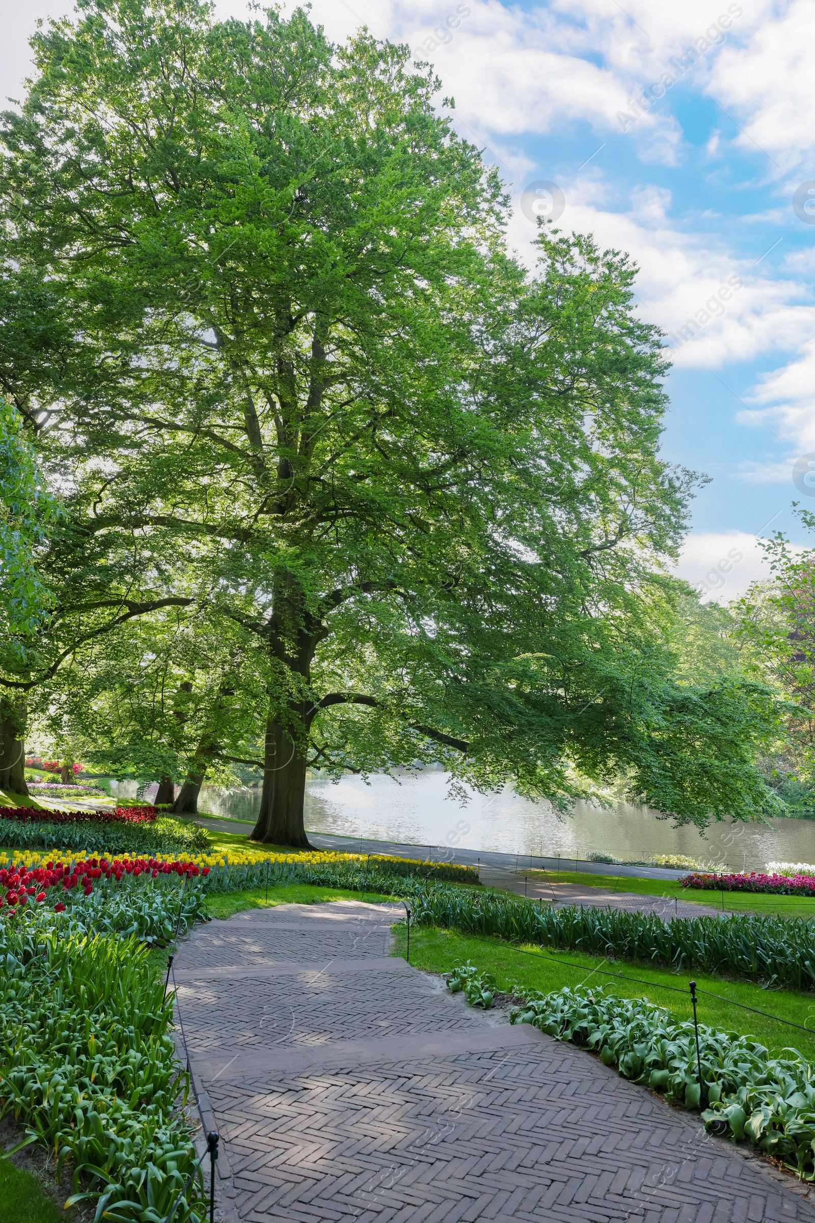 Photo of Pathway in park with green trees and beautiful flowers on sunny day. Spring season