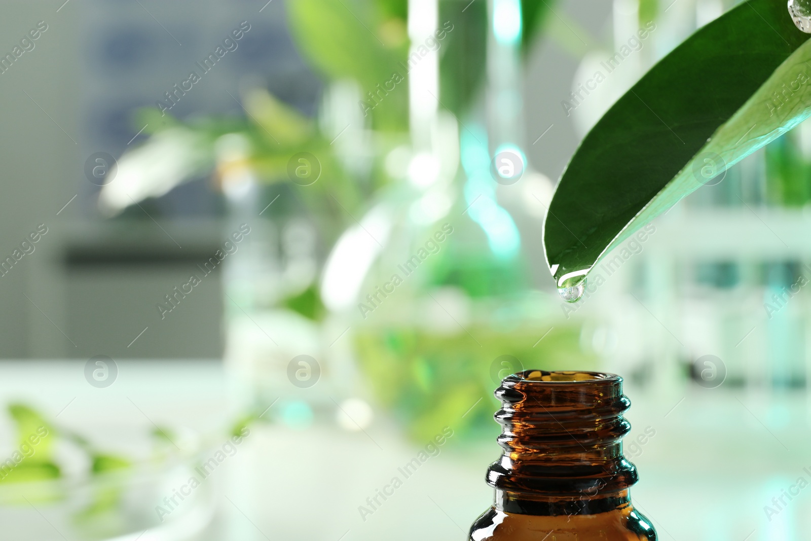 Photo of Clear drop falling from leaf into small bottle on blurred background, closeup with space for text. Plant chemistry