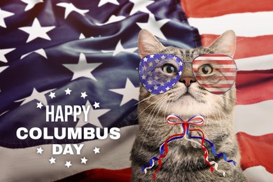 Image of Happy Columbus Day. Cute cat with sunglasses and bow and American flag on background