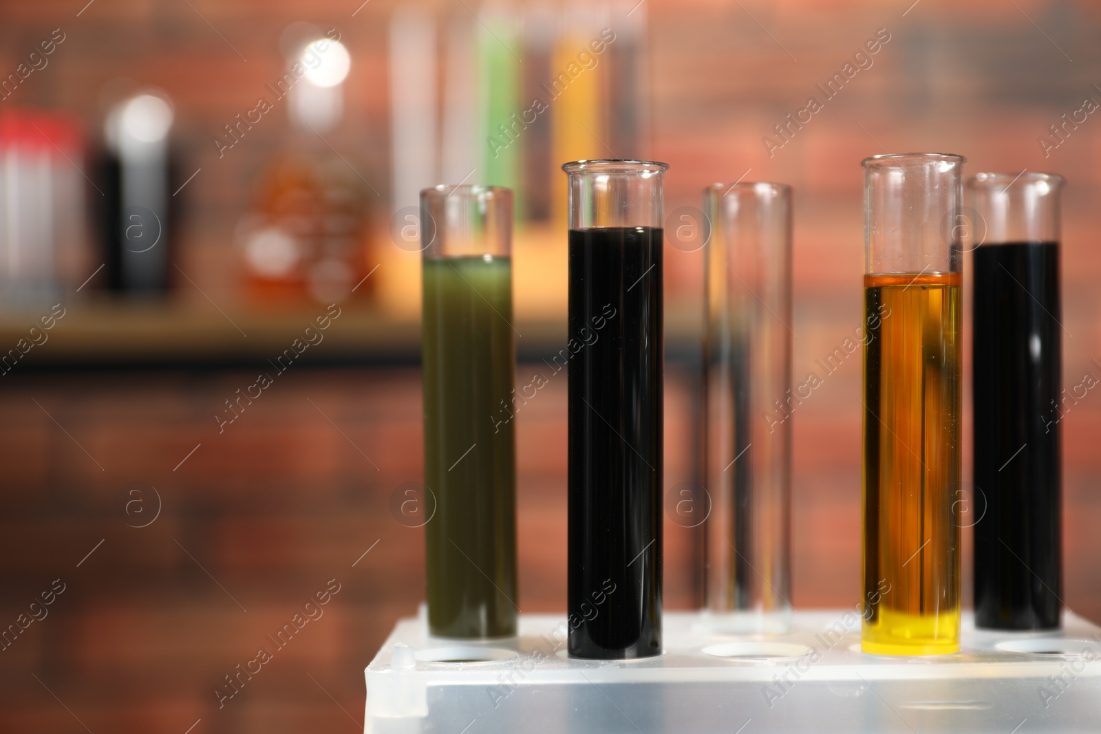Photo of Test tubes with different types of oil in rack indoors, closeup. Space for text