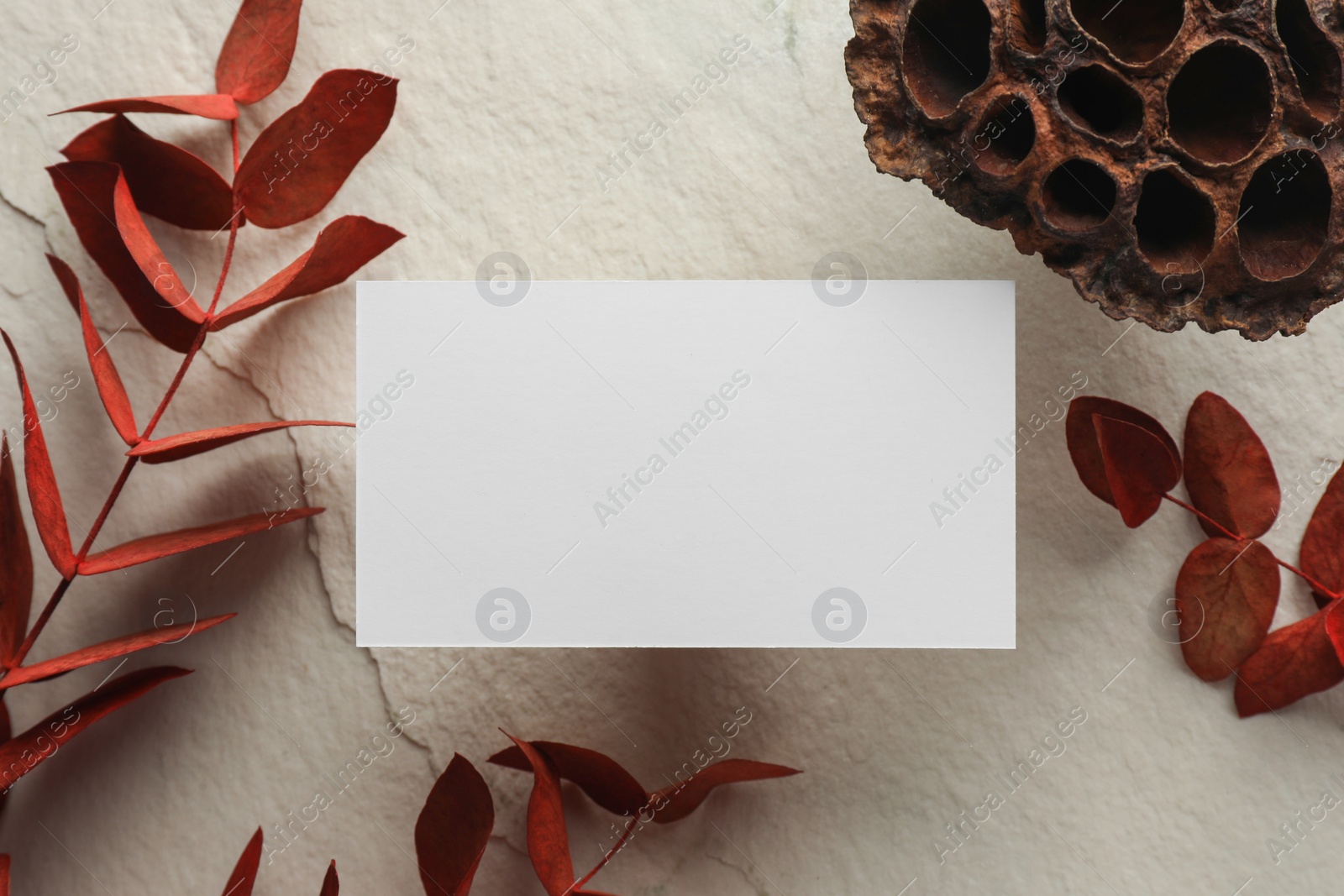 Photo of Empty business card and different decorative elements on light textured background, flat lay. Mockup for design