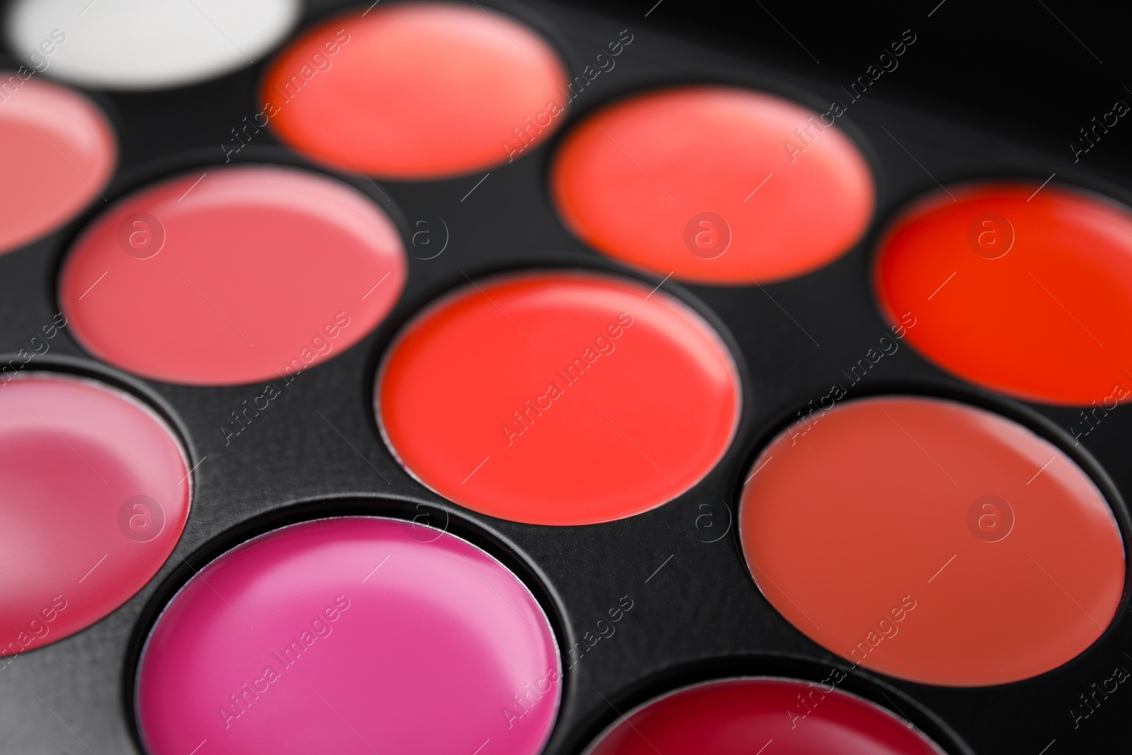 Photo of Cream lipstick palette as background, closeup. Professional cosmetic product