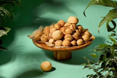 Delicious walnut shaped cookies filled with caramelized condensed milk and houseplants on green table. Homemade treats for family baked with love