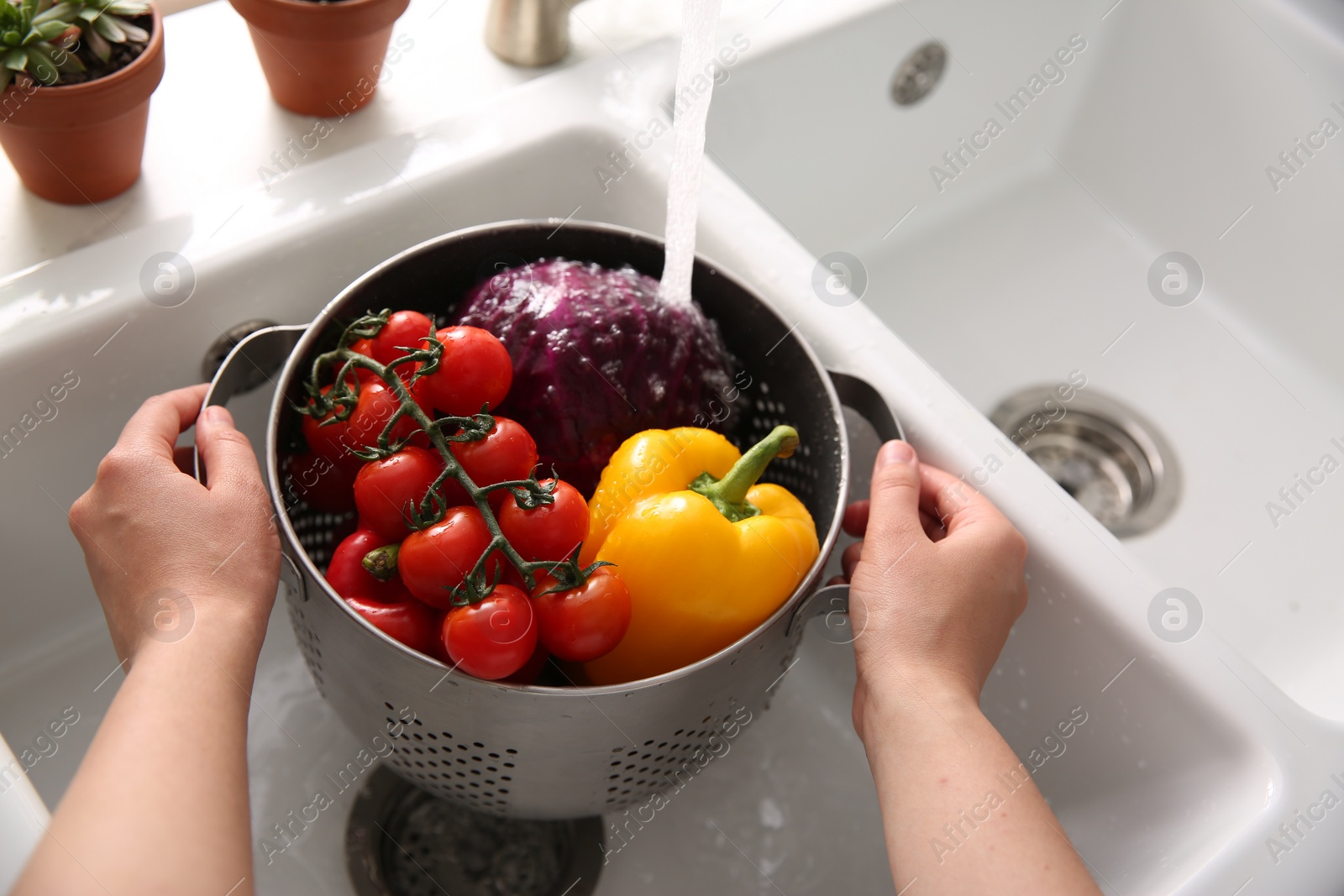 Photo of Woman washing fresh vegetables in kitchen sink, closeup