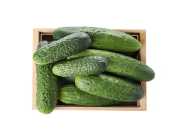 Wooden crate full of fresh ripe cucumbers on white background, top view