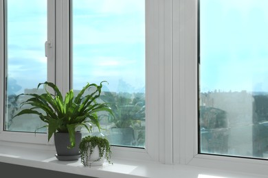 Beautiful potted houseplants growing on windowsill indoors. Space for text