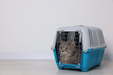 Photo of Travel with pet. Cute cat in carrier on floor near white wall indoors, space for text