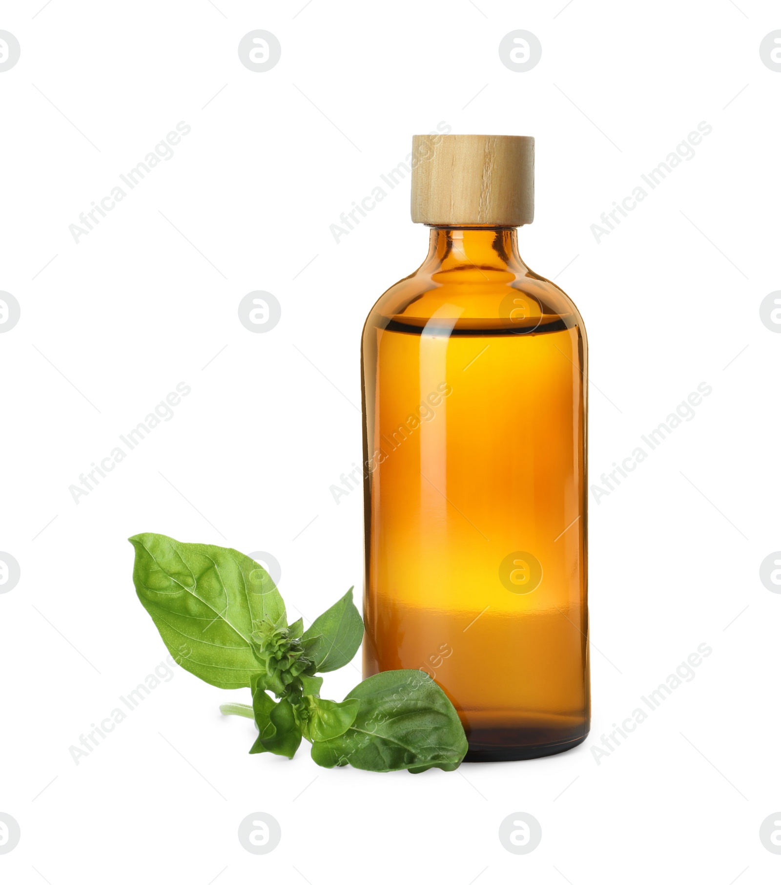 Photo of Bottle of essential oil and basil on white background