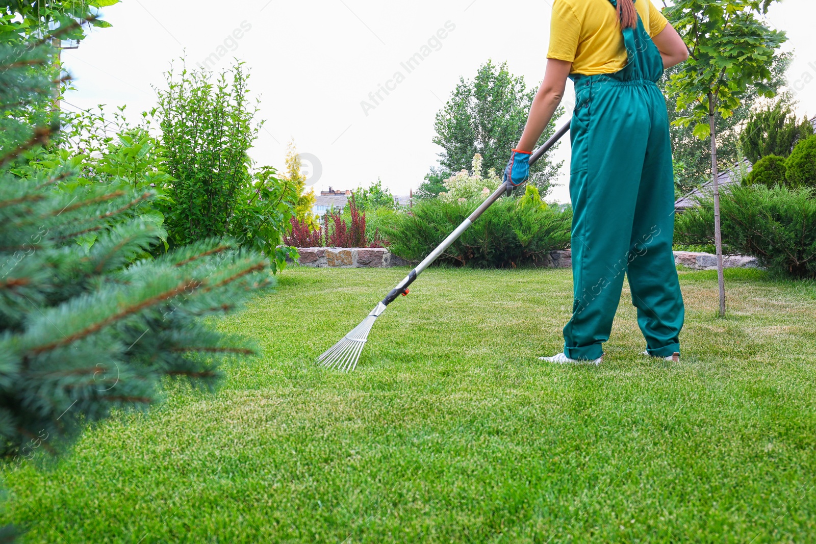 Photo of Woman raking green lawn at backyard. Home gardening