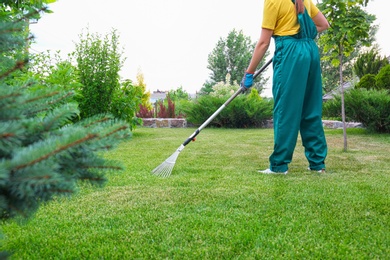 Woman raking green lawn at backyard. Home gardening