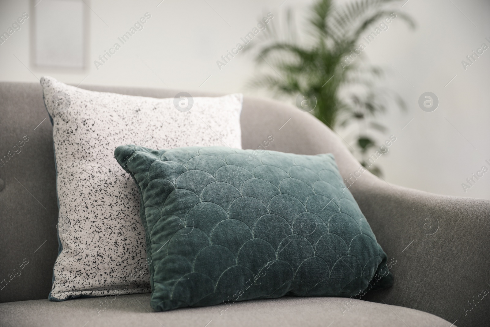 Photo of Soft pillows on grey sofa in living room